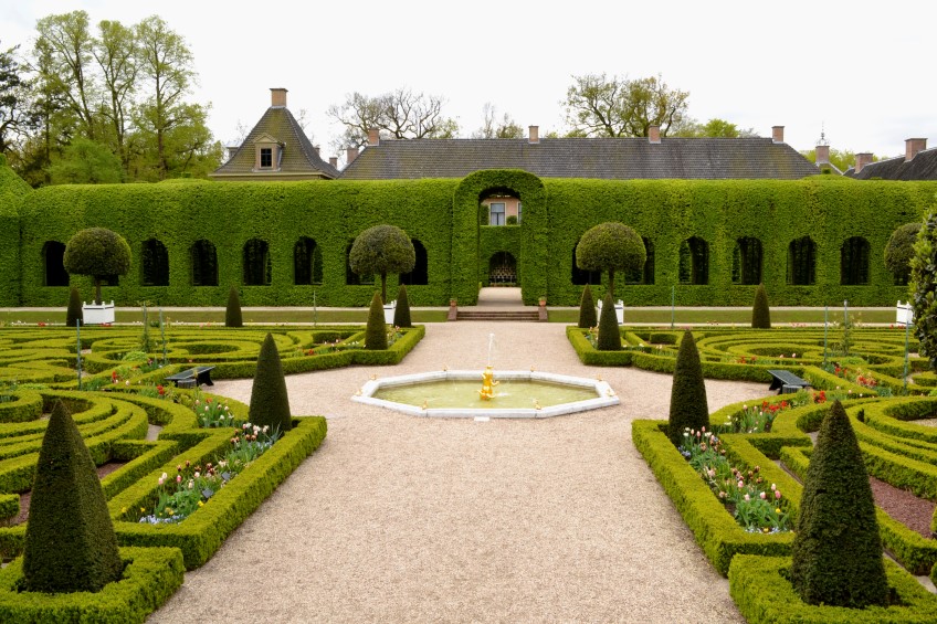 hedges-out-of-the-box-the-garden-clinic